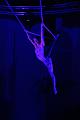 T-20151128-210136_IMG_6119-6