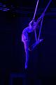 T-20151128-210138_IMG_6125-6