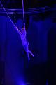 T-20151128-210322_IMG_6201-6