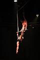 T-20151128-211450_IMG_6428-6