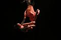 T-20151128-211558_IMG_6751-7
