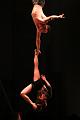 T-20151128-211619_IMG_6785-7