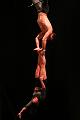 T-20151128-211622_IMG_6787-7