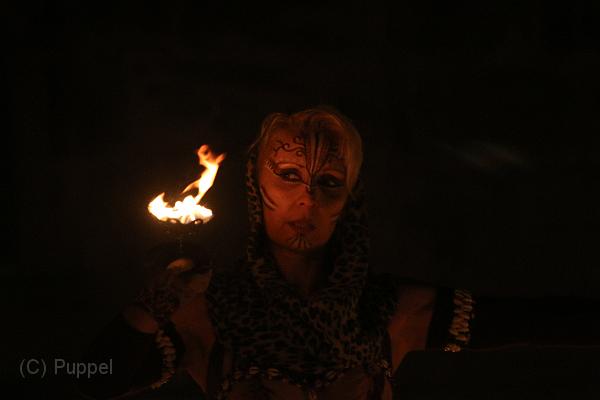 T-20151204-211743_IMG_8173-7.JPG