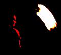 T-20151204-194628_IMG_1278-6a