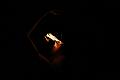 T-20151204-211529_IMG_8151-7