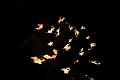 T-20151204-213300_IMG_8311-7