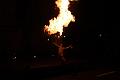 T-20151204-214908_IMG_1839-6