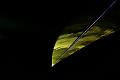 T3_T-20151204-192715_IMG_7406-7