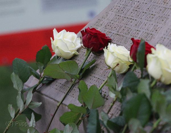 T-20151215-132651_IMG_1534-7a.jpg