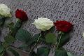 T-20151215-132647_IMG_1533-7