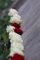 T-20151215-134259_IMG_1565-7