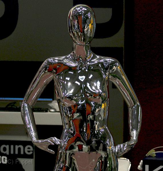 T-20160313-152803_IMG_4337-7a.jpg