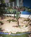 T-20160313-113350_IMG_3990-6a