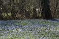 IMG_2245a