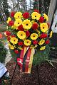 T-20160417-110352_IMG_0143-6