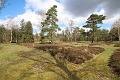 T-20160417-110943_IMG_0170-6