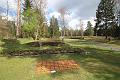 T-20160417-111217_IMG_0174-6