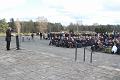 T-20160417-115142_IMG_0247-6