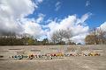 T-20160417-115328_IMG_0255-6