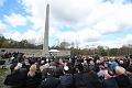 T-20160417-115709_IMG_0259-6