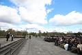 T-20160417-115958_IMG_0263-6