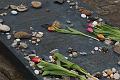 T-20160417-124236_IMG_4626-7
