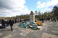 T-20160417-132454_IMG_0409-6