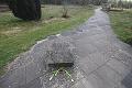 T-20160417-133232_IMG_0470-6