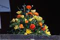 T-20160417-150647_IMG_5035-7