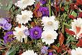 T-20160417-170555_IMG_5301-7
