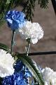 T-20160417-170616_IMG_5309-7