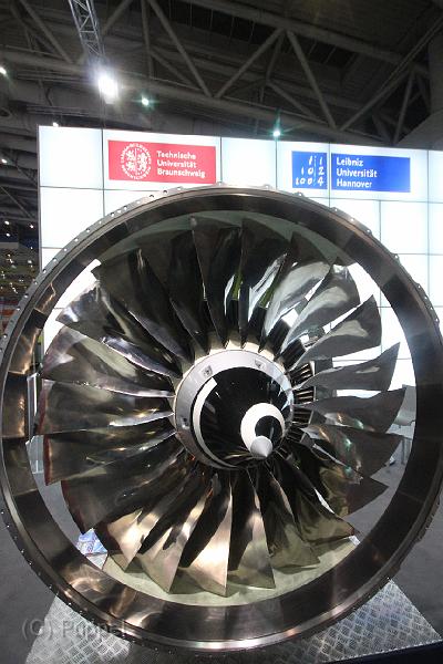 T-20160425-193855_IMG_0798-6.JPG