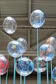 T-20160428-172756_IMG_2221-7