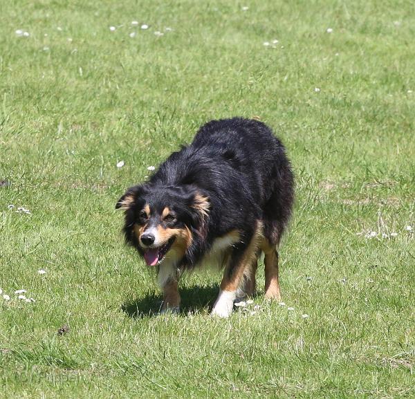IMG_8987-7a.jpg