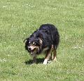 IMG_8987-7a