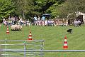 IMG_8994-7