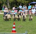 IMG_8996-7a