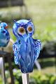 IMG_9078-7