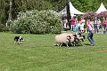 IMG_9429-7