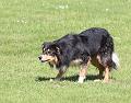 IMG_9471-7a