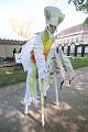 IMG_9545-7