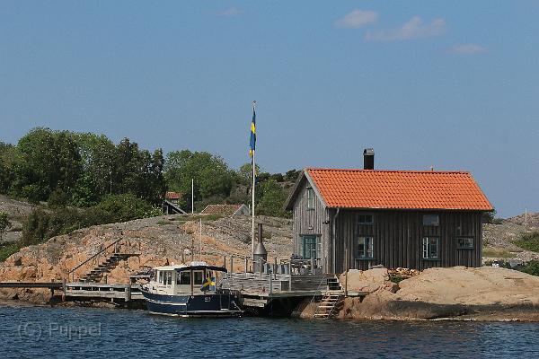T-20160601-135744_IMG_7424-7.JPG