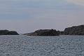 T-20160601-135749_IMG_7427-7