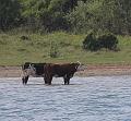 T-20160601-140439_IMG_7450a-7