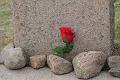 T-20160601-155458_IMG_7996-7