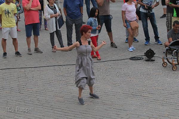 T-20160724-203230_IMG_5629-7.JPG