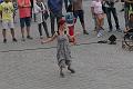 T-20160724-203230_IMG_5630-7