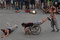 T-20160724-204059_IMG_5885-7