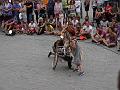 T-20160724-204635_P2440910-G